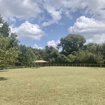 Shelby Dog Park photo 2